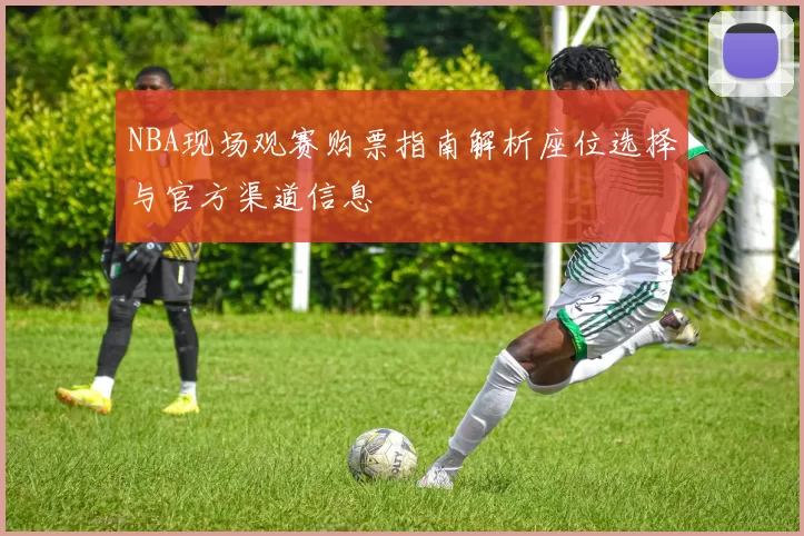 NBA现场观赛购票指南解析座位选择与官方渠道信息